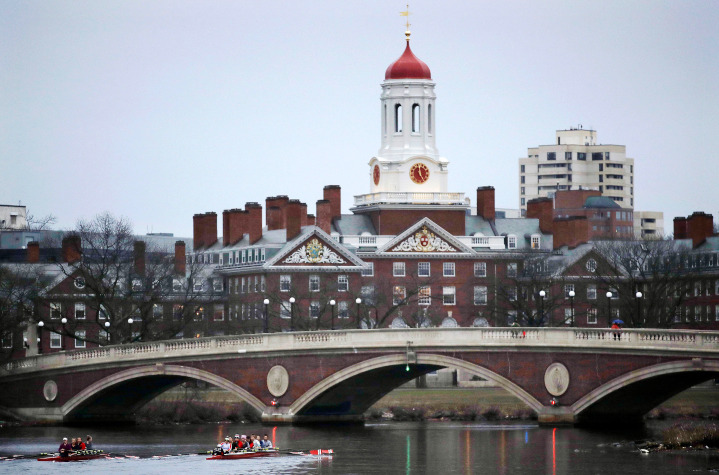 Harvard Single Gender Ban