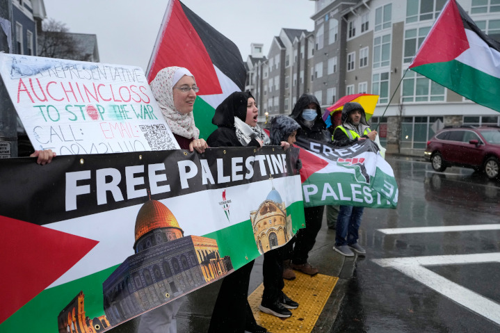 Pro-Palestinian demonstrators falsely criticize Israel of “mistreating” the Palestinian Arabs, yet they ignore true Palestinian suffering at the hands of their own corrupt dictators and other Arab states, who deny them virtually all basic human and civil rights. 